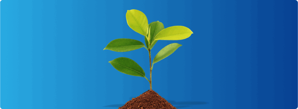 Ajude-nos a plantar esta ideia