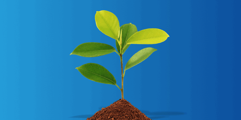 Ajude-nos a plantar esta ideia