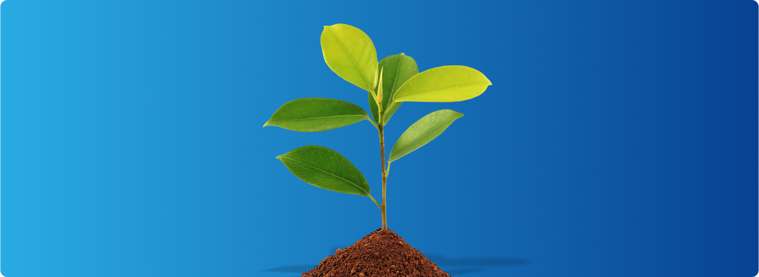 Ajude-nos a plantar esta ideia